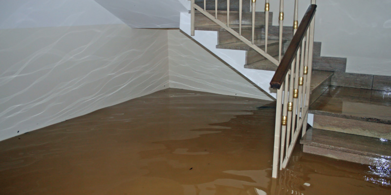 Unseen Perils: Understanding the Dangers of a Flooded Basement